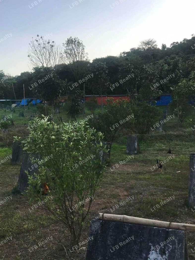 1.64-Hectare Commercial Lot for Sale along Marilaque Highway, Sampaloc, Tanay – photo 4