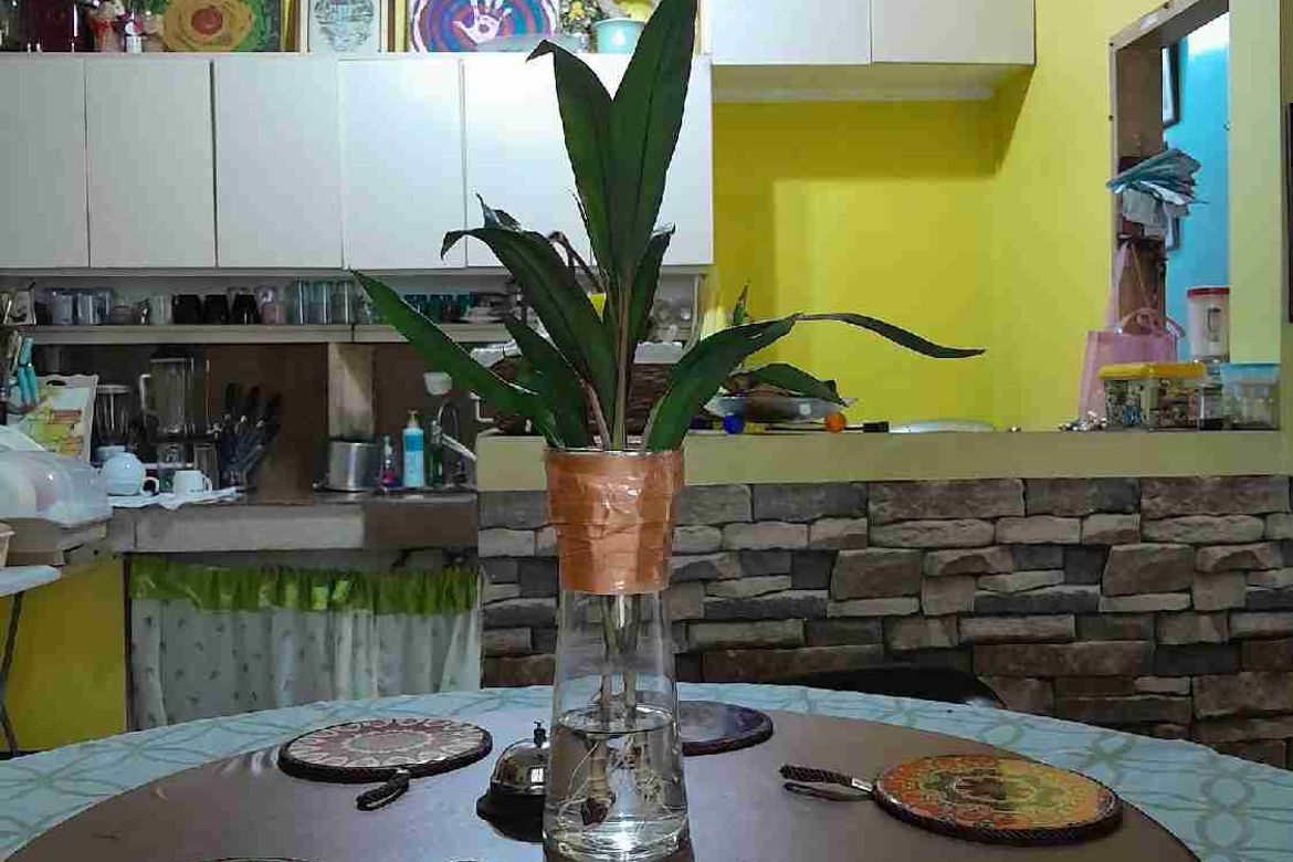 11 Bedroom House for Sale in Mambugan, Antipolo, Rizal – photo 3