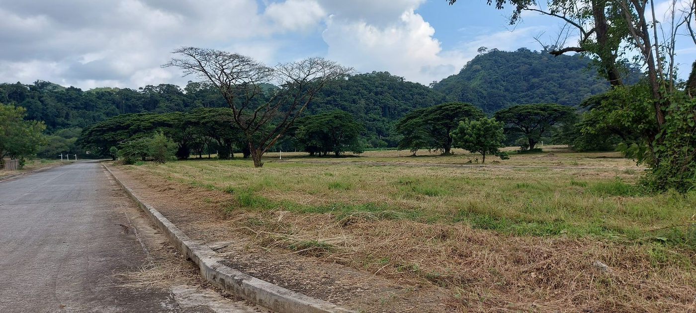120 SQM Residential Lot with Mountain View for Sale in Palo Alto, Baras, Rizal – photo 4