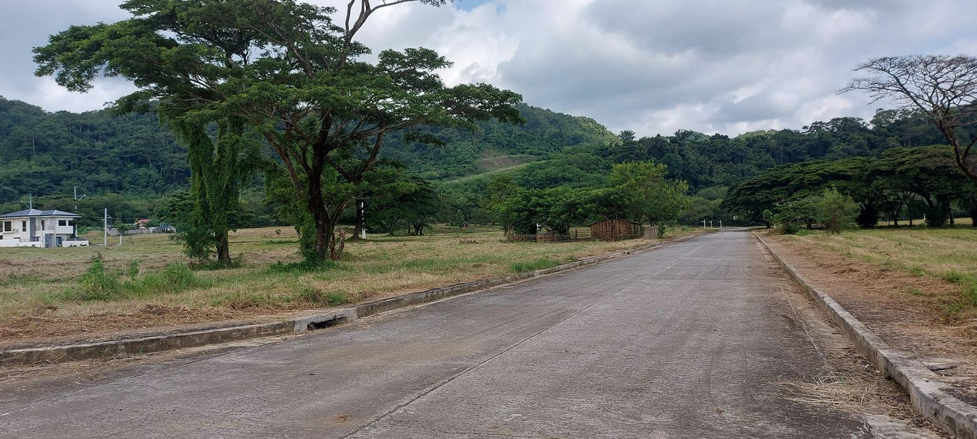 120 SQM Residential Lot with Mountain View for Sale in Palo Alto, Baras, Rizal – photo 6