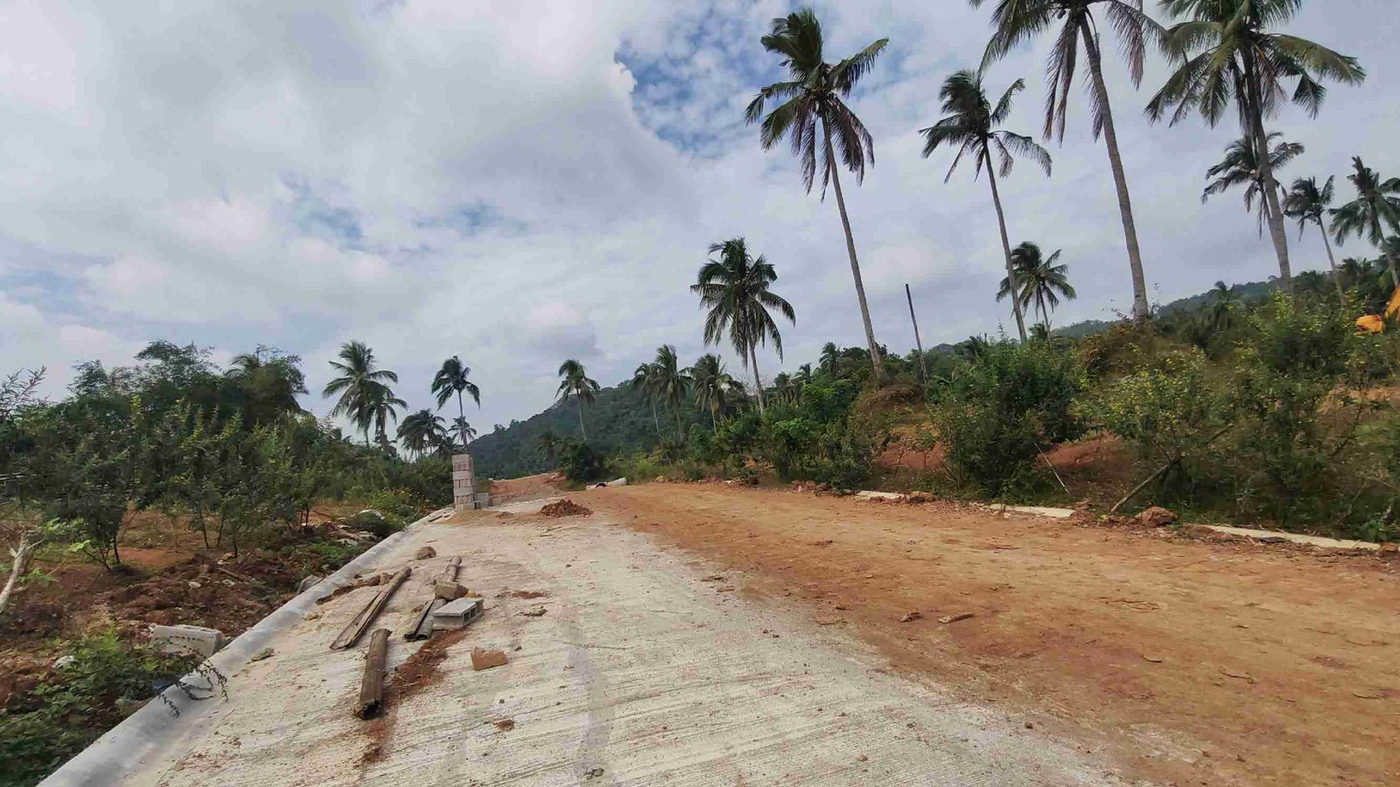 150 SQM Lot with Mountain View for Sale in San Agustin, Magallanes, Cavite – photo 10