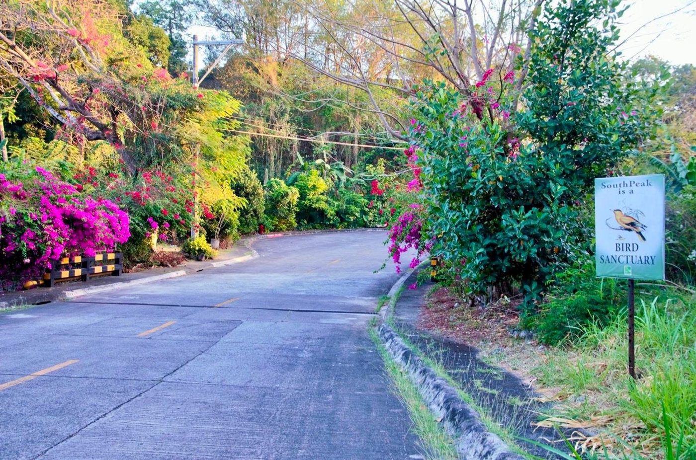 180 SQM Lot for Sale in San Antonio, San Pedro, Laguna – photo 12