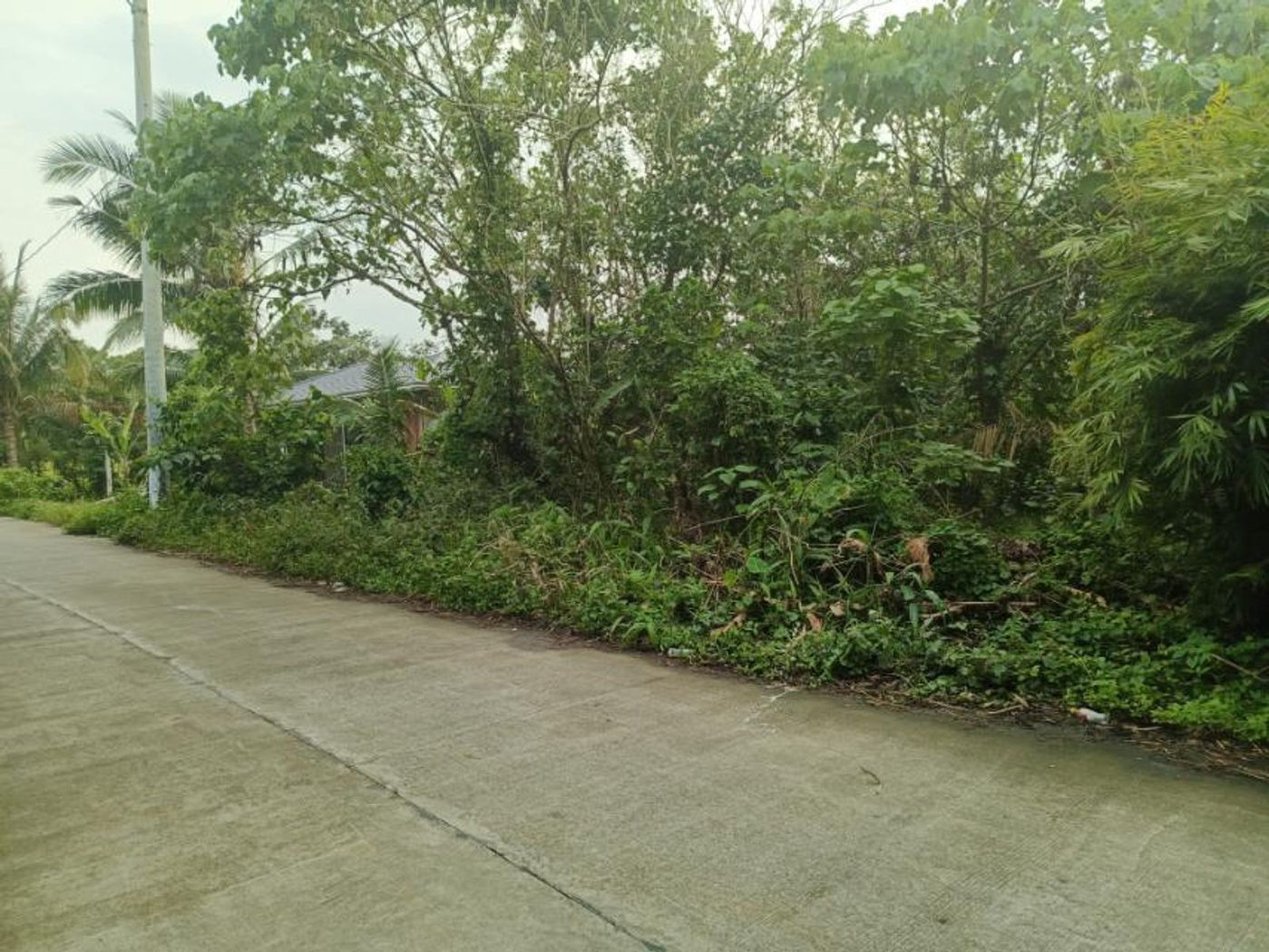 1,836 SQM Flat Lot for Sale in Indang, Cavite, 10 Minutes from Tagaytay – photo 6