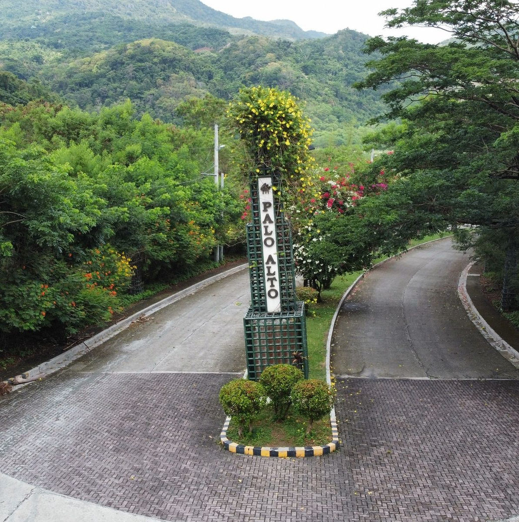 199 SQM Titled Residential Lot for Sale in Palo Alto, Baras, Rizal – photo 2