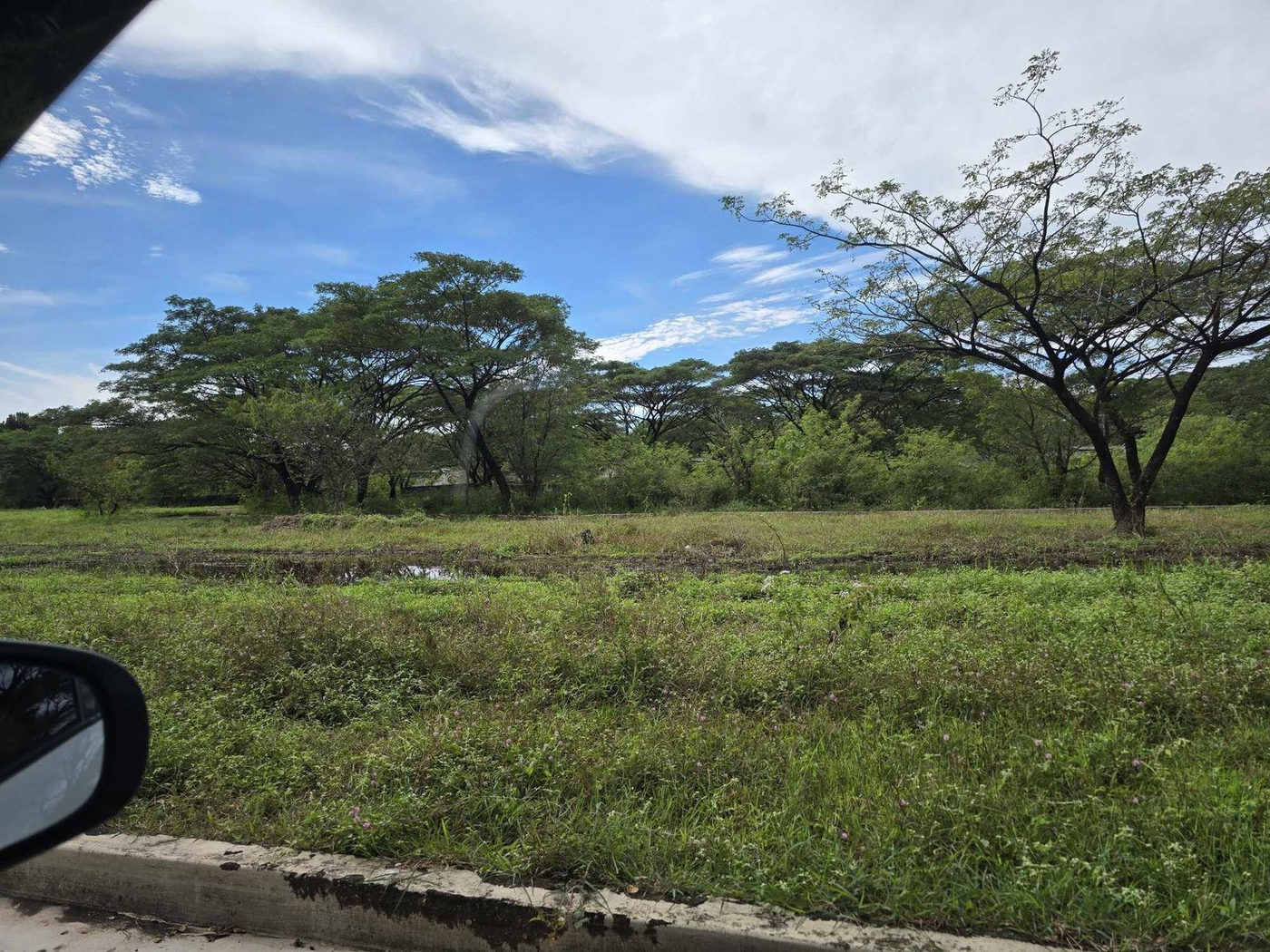 199 SQM Titled Residential Lot for Sale in Palo Alto, Baras, Rizal – photo 7