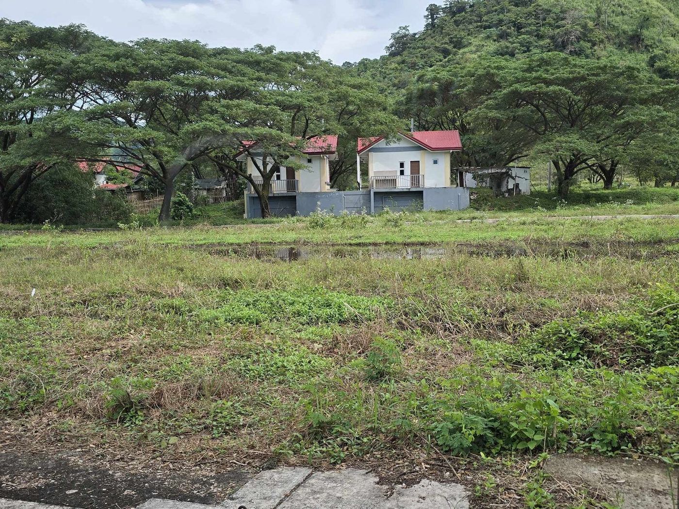 199 SQM Titled Residential Lot for Sale in Palo Alto, Baras, Rizal – photo 11