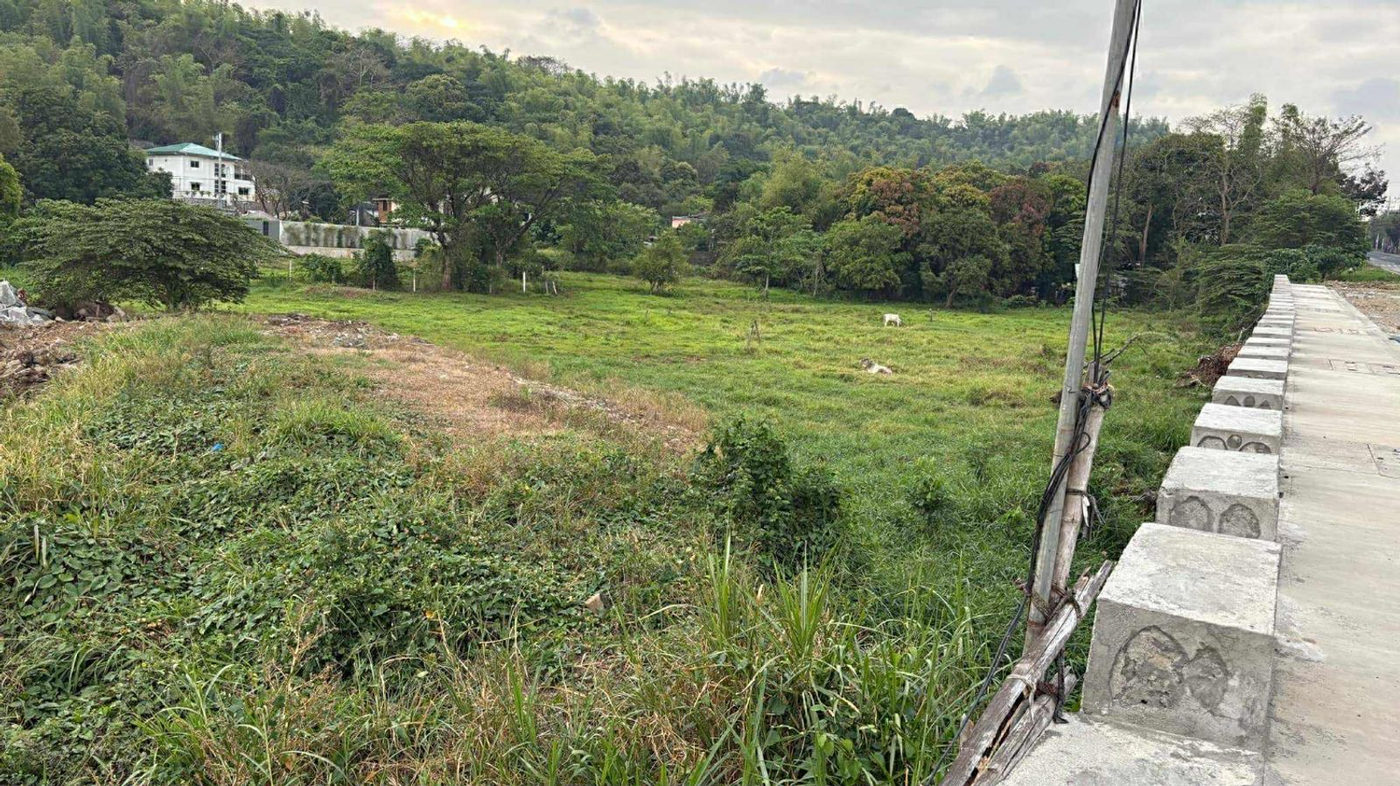 2,000 SQM Highway Commercial Lot for Sale in Baras, Rizal – photo 5