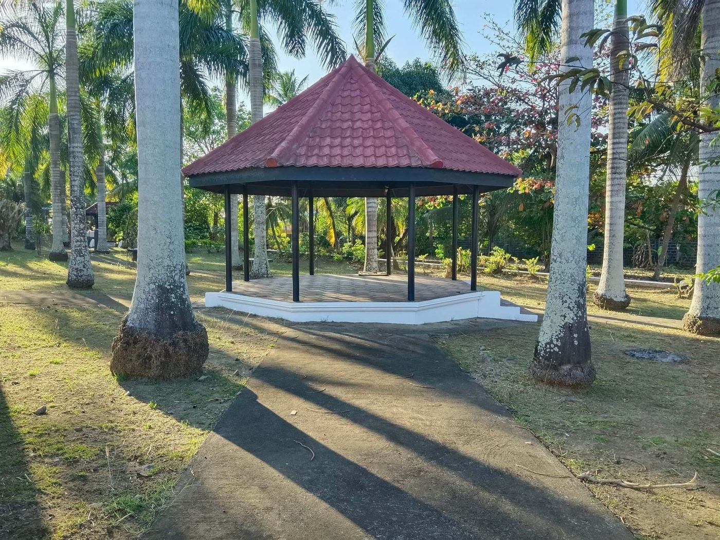 212 SQM Prime Corner Residential Lot for Sale in Calumpang Lejos, Indang, Cavite – photo 7