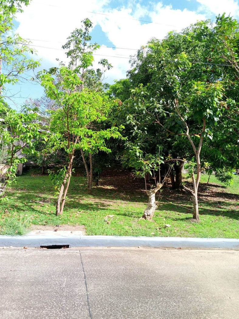 212 SQM Prime Corner Residential Lot for Sale in Calumpang Lejos, Indang, Cavite – photo 8