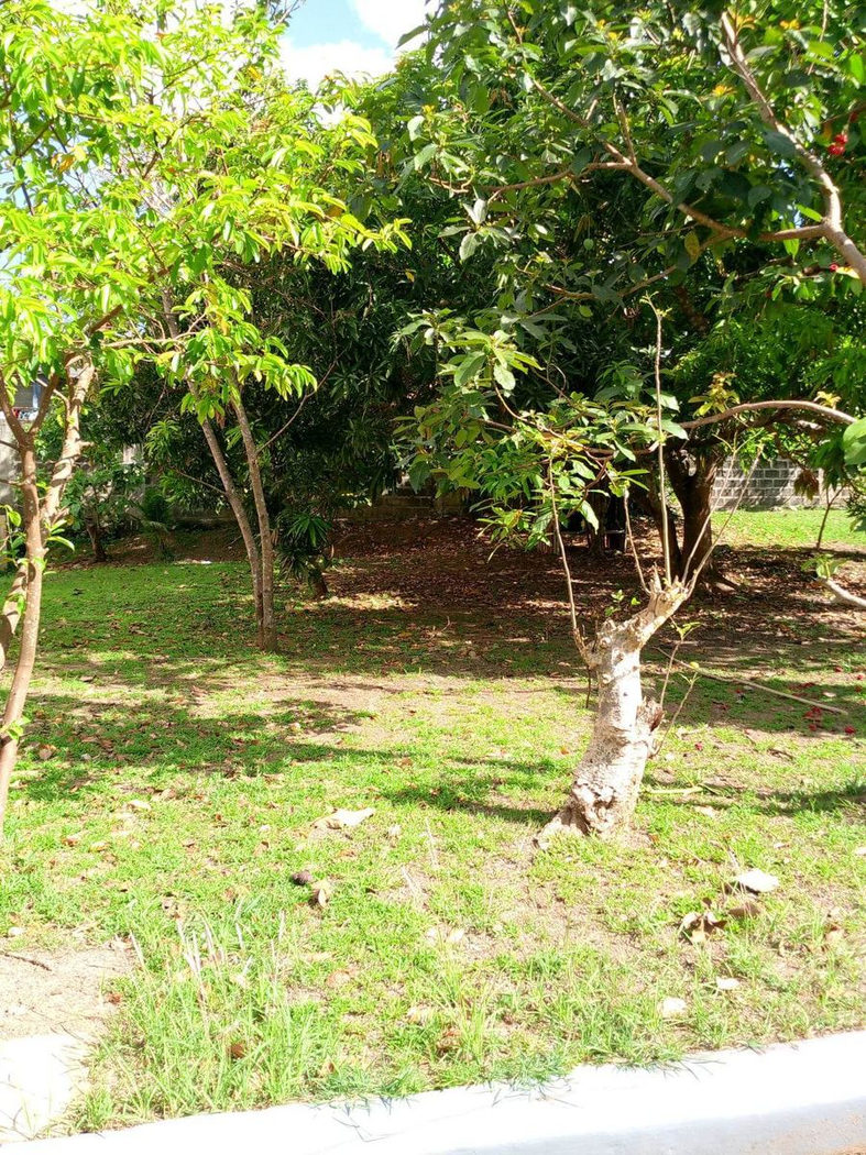 212 SQM Prime Corner Residential Lot for Sale in Calumpang Lejos, Indang, Cavite – photo 9