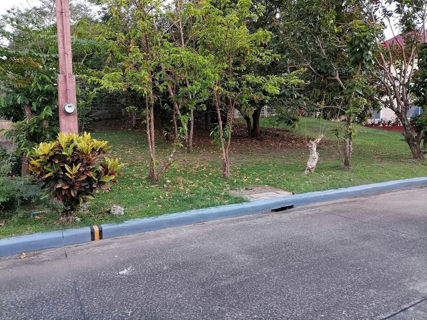 212 SQM Prime Corner Residential Lot for Sale in Calumpang Lejos, Indang, Cavite – photo 10