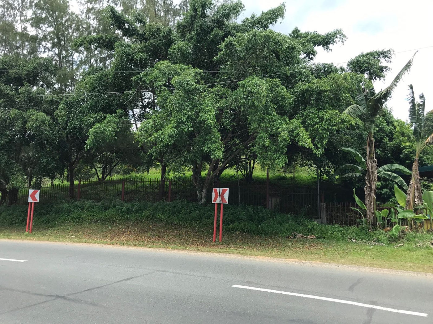 22.7-Hectare Fruit-Bearing Agricultural Land for Sale along Marilaque Highway, Sampaloc, Tanay