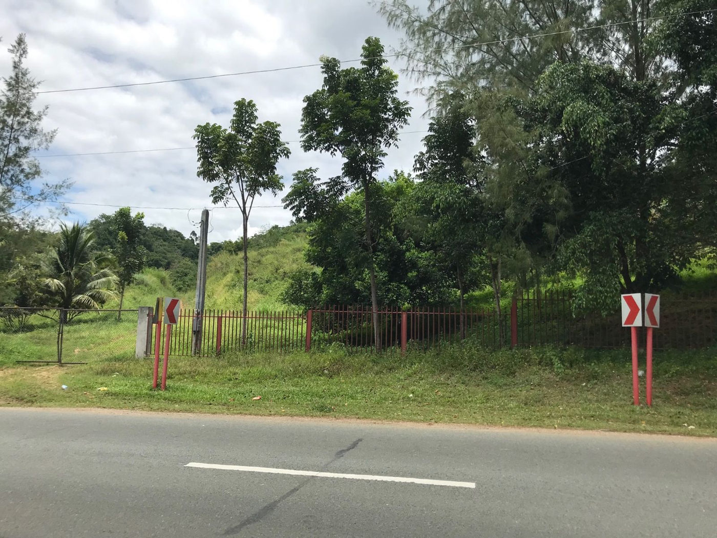 22.7-Hectare Fruit-Bearing Agricultural Land for Sale along Marilaque Highway, Sampaloc, Tanay – photo 2