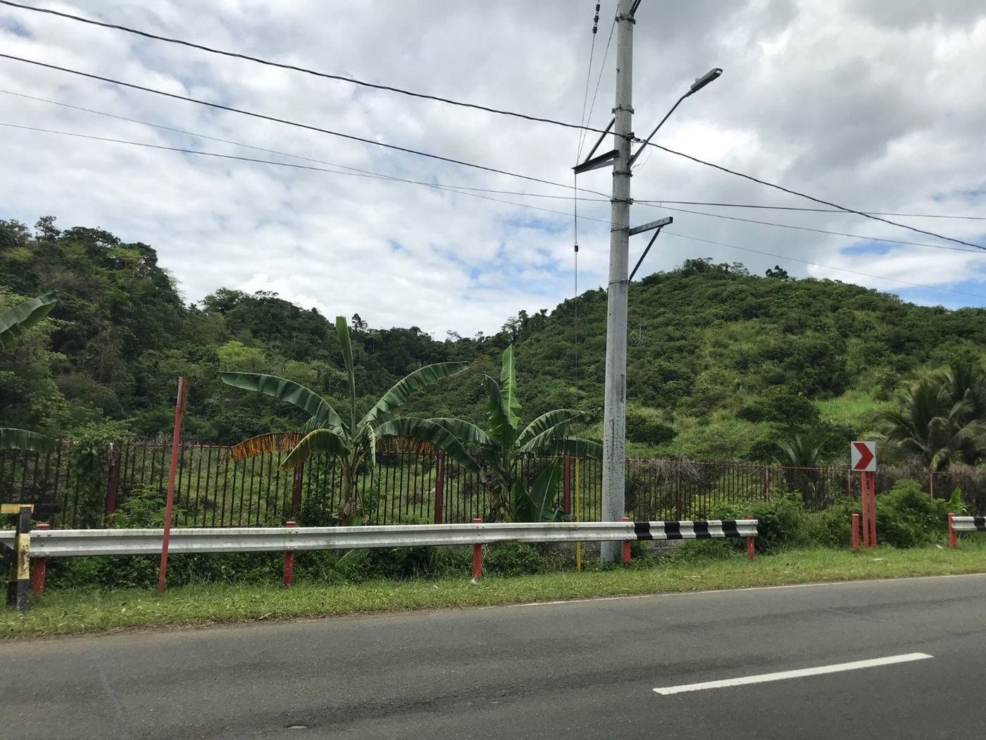 22.7-Hectare Fruit-Bearing Agricultural Land for Sale along Marilaque Highway, Sampaloc, Tanay – photo 5