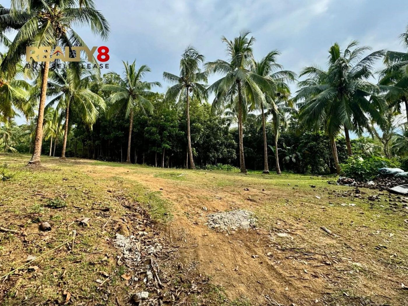 3.7-Hectare Countryside Property for Sale in Barangay 3, Magallanes, Cavite – photo 6