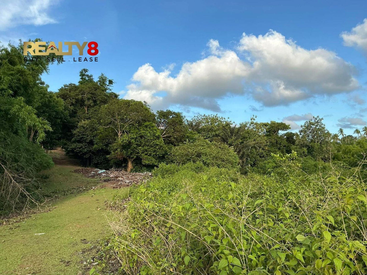 3.7-Hectare Countryside Property for Sale in Barangay 3, Magallanes, Cavite – photo 8