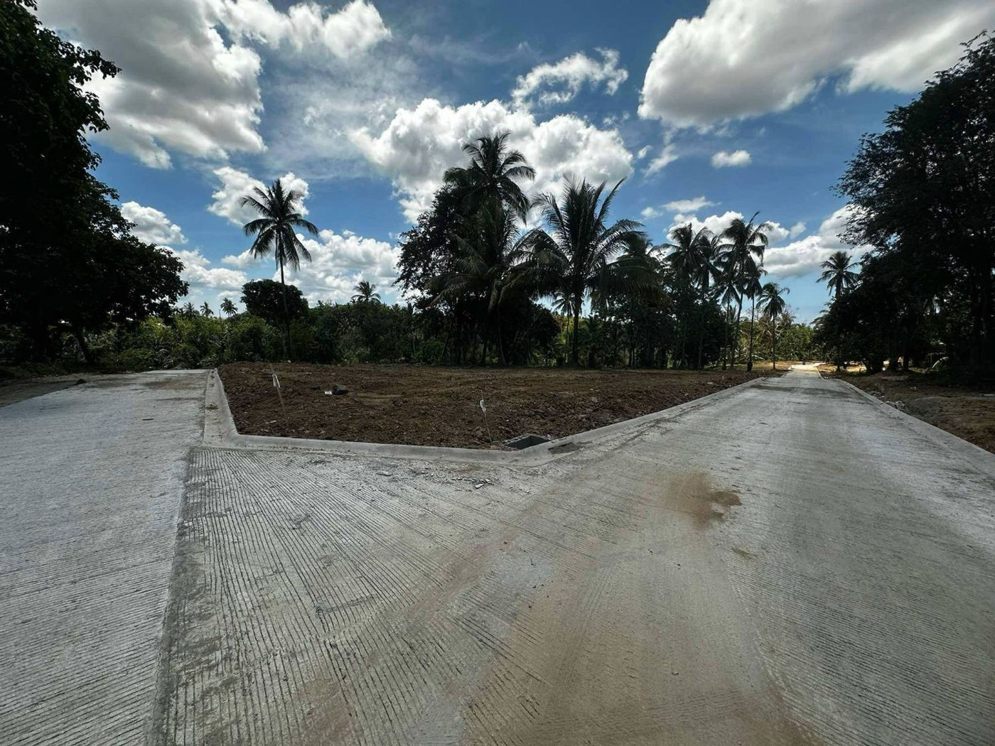 300 SQM Farm-Residential Lot for Sale in Alex Riverside Hills, General Emilio Aguinaldo, Cavite – photo 4