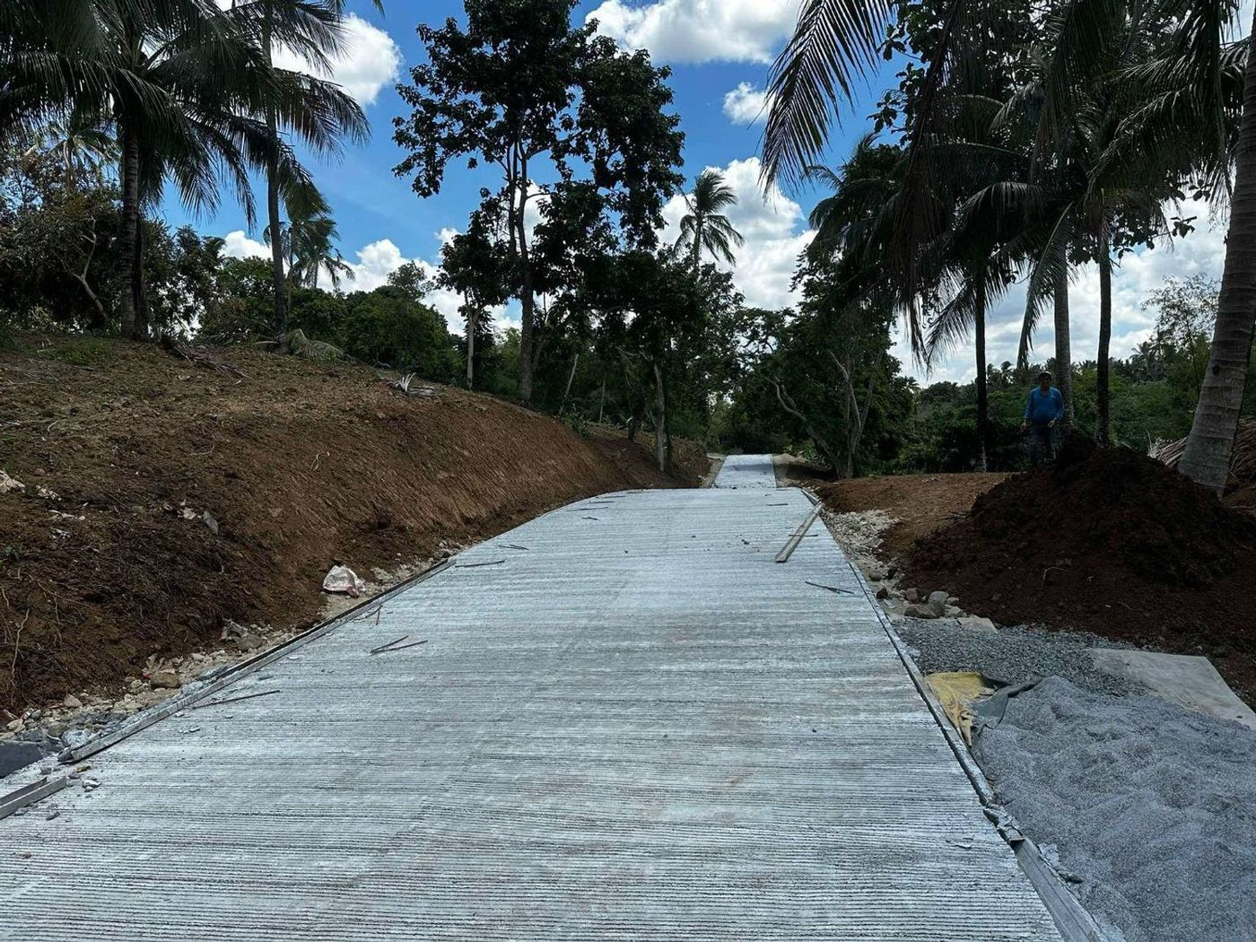 300 SQM Farm-Residential Lot for Sale in Alex Riverside Hills, General Emilio Aguinaldo, Cavite – photo 7