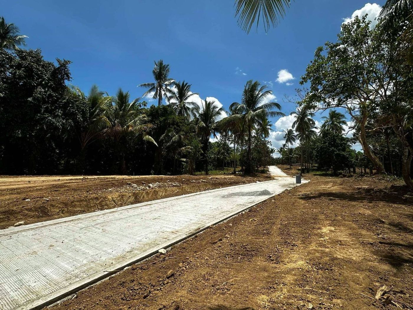 300 SQM Farm-Residential Lot for Sale in Alex Riverside Hills, General Emilio Aguinaldo, Cavite – photo 17