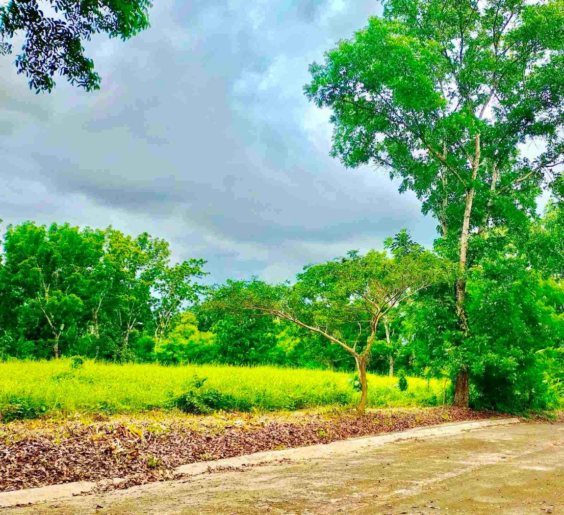 379 SQM Residential Golf Community Lot for Sale in Sherwood Hills, Trece Martires, Cavite – photo 6