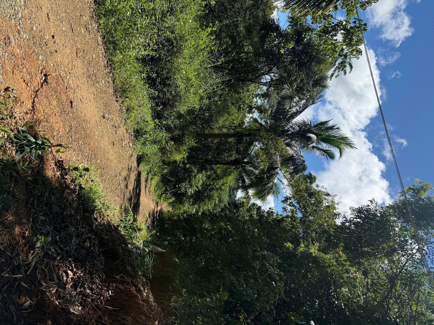 4.2-Hectare Farm Lot with Natural Spring for Sale near Tanay Highlands, Sampaloc, Tanay – photo 3