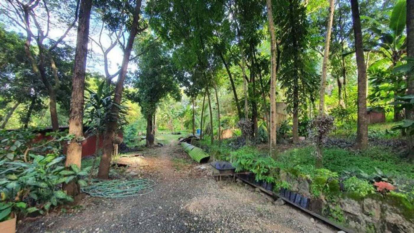 4.5-Hectare Eco-Farm Tourism Property for Sale in Teresa, Rizal – photo 5