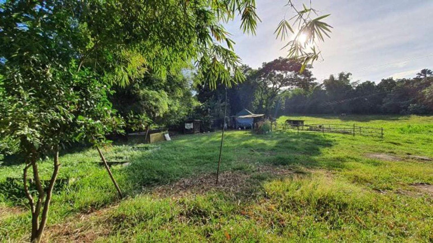 4.5-Hectare Eco-Farm Tourism Property for Sale in Teresa, Rizal – photo 8