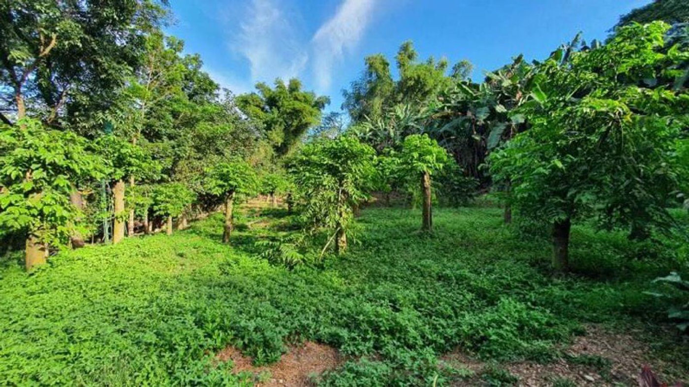 4.5-Hectare Eco-Farm Tourism Property for Sale in Teresa, Rizal – photo 11