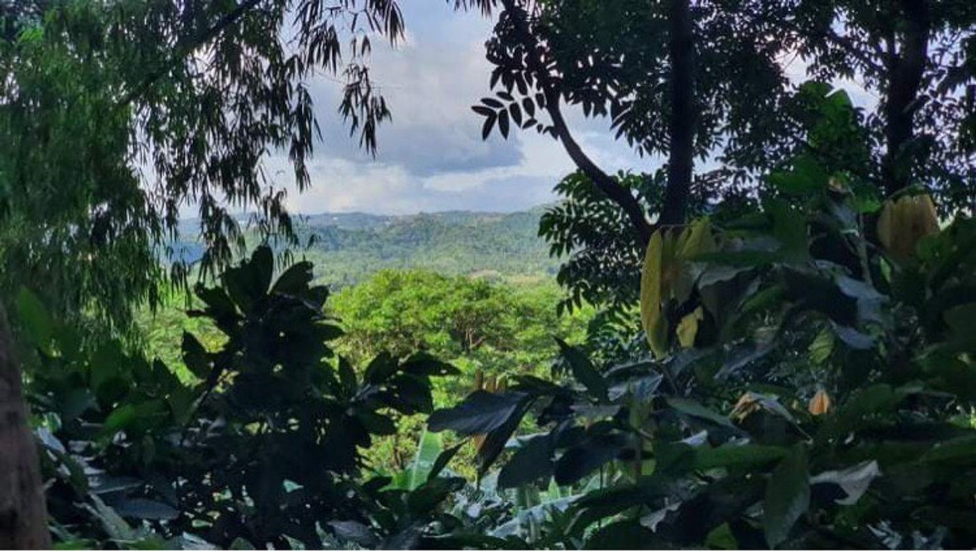4.5-Hectare Eco-Farm Tourism Property for Sale in Teresa, Rizal – photo 17