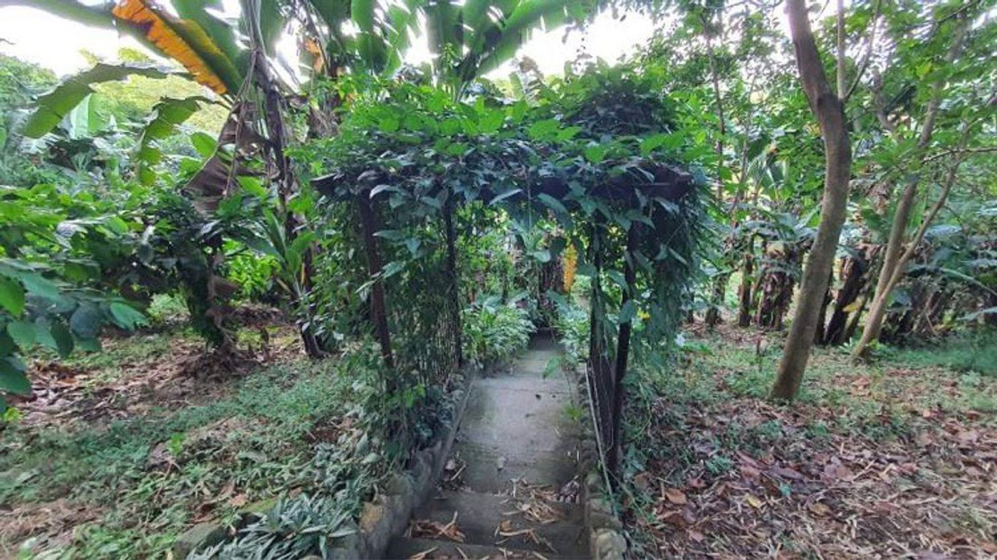 4.5-Hectare Eco-Farm Tourism Property for Sale in Teresa, Rizal – photo 18