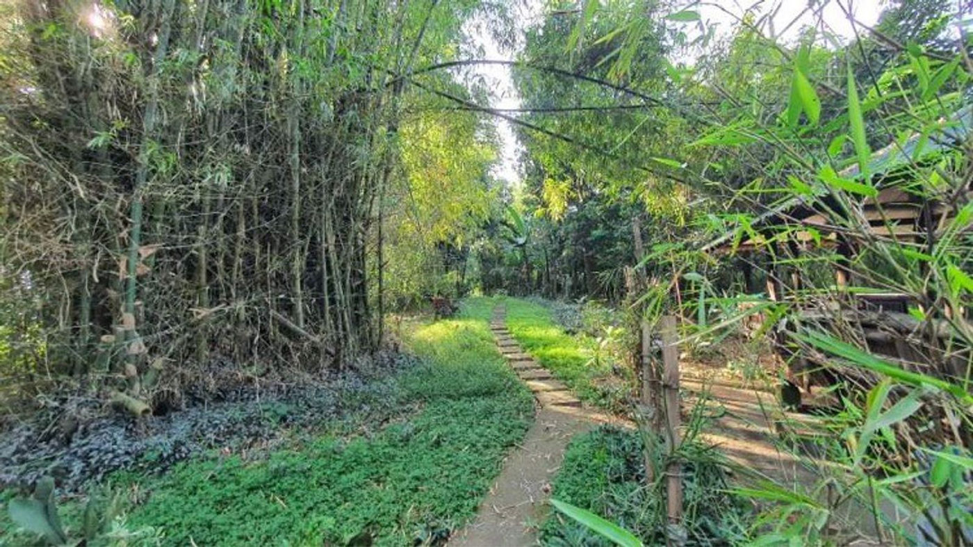 4.5-Hectare Eco-Farm Tourism Property for Sale in Teresa, Rizal – photo 19