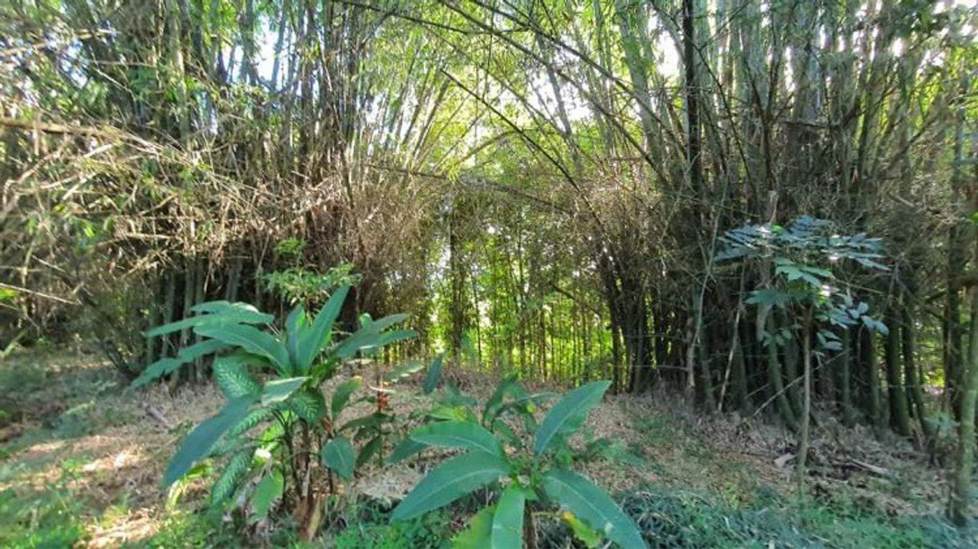 4.5-Hectare Eco-Farm Tourism Property for Sale in Teresa, Rizal – photo 20