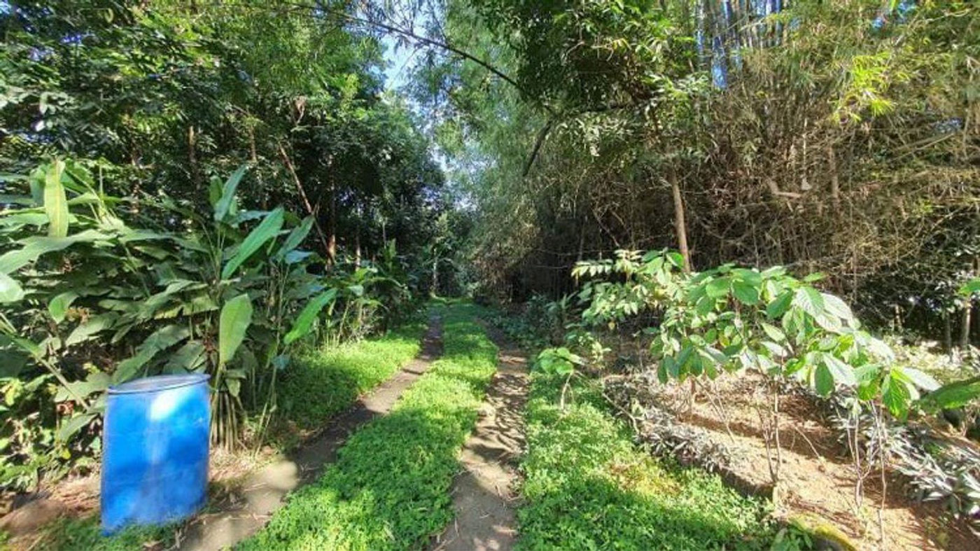 4.5-Hectare Eco-Farm Tourism Property for Sale in Teresa, Rizal – photo 21