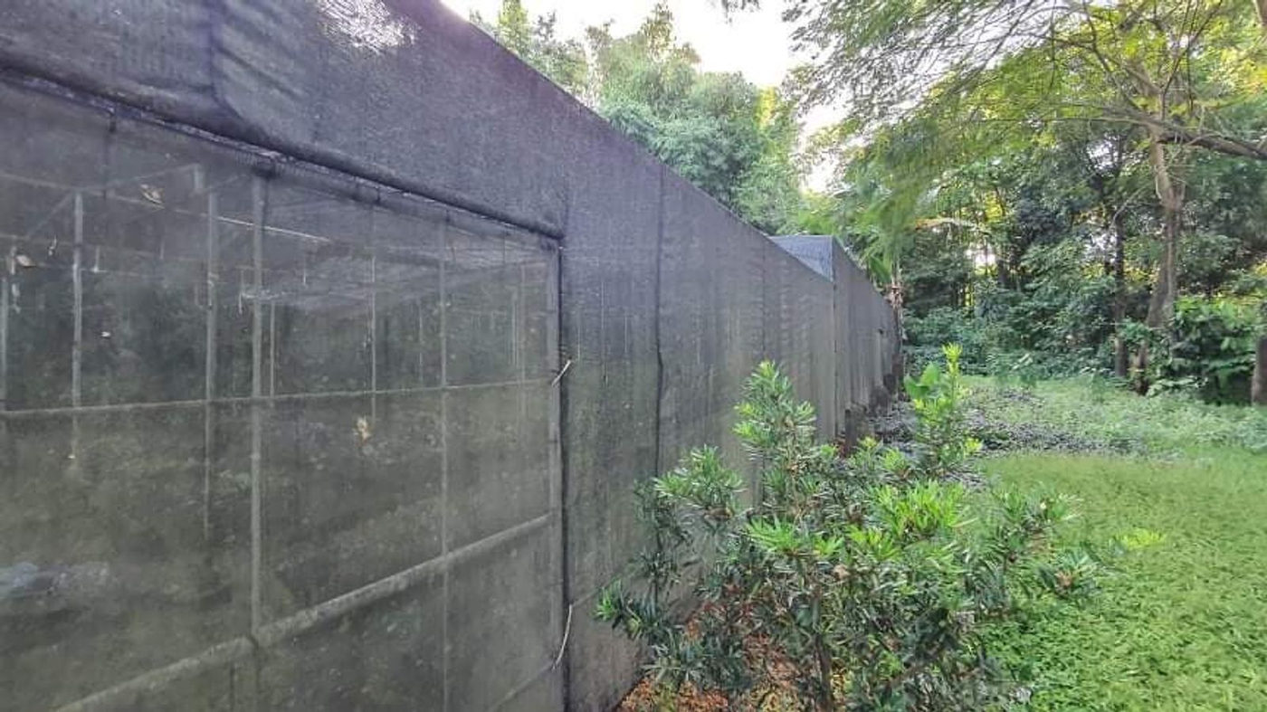 4.5-Hectare Eco-Farm Tourism Property for Sale in Teresa, Rizal – photo 24
