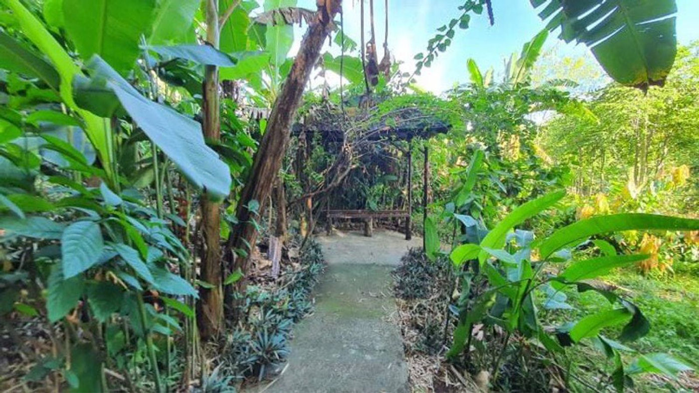 4.5-Hectare Eco-Farm Tourism Property for Sale in Teresa, Rizal – photo 25