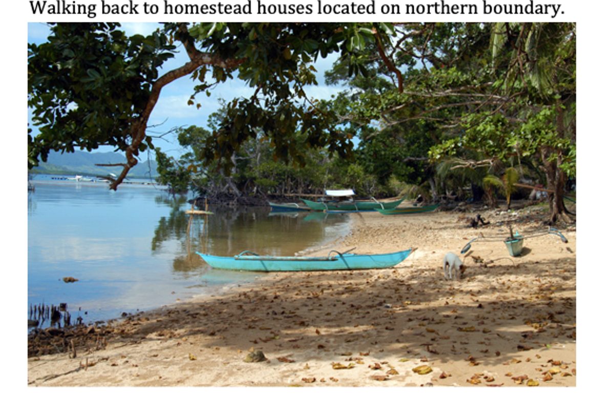 4 Bedroom House for Sale in Concepcion, Busuanga, Palawan – photo 6