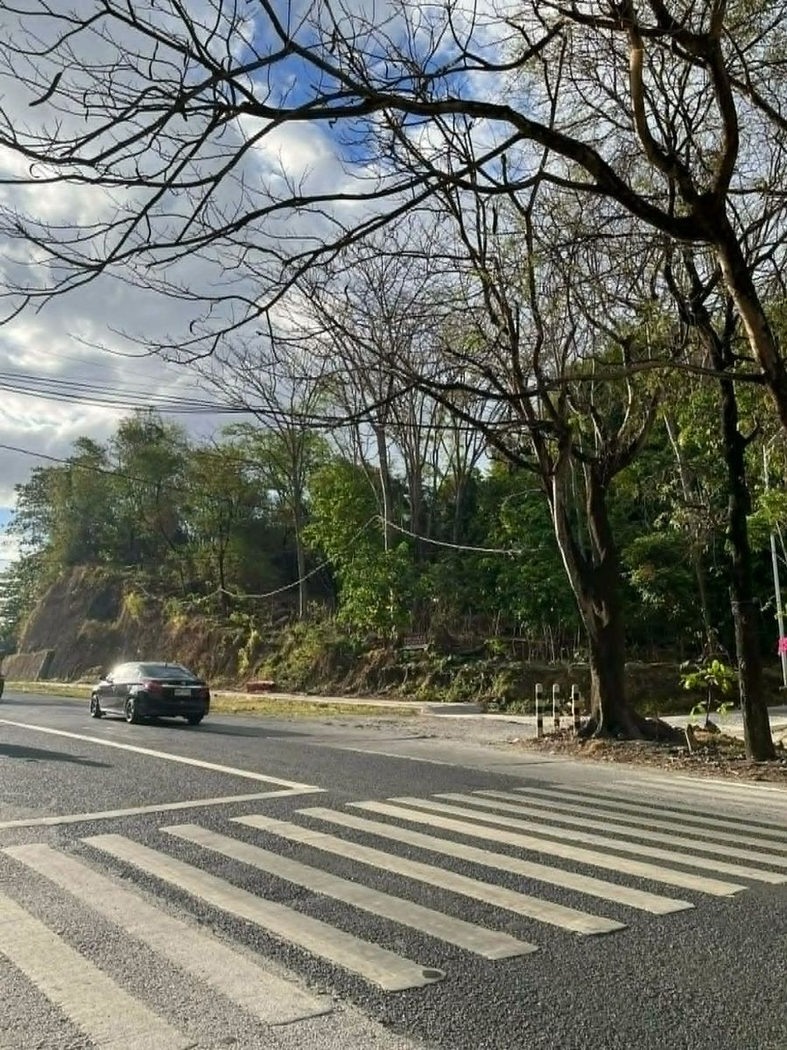 4,418 SQM Commercial Corner Lot for Sale along Manila East Road, San Juan, Baras, Rizal – photo 5