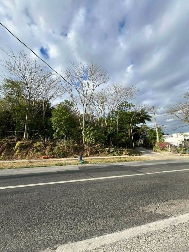 4,418 SQM Commercial Corner Lot for Sale along Manila East Road, San Juan, Baras, Rizal – photo 6