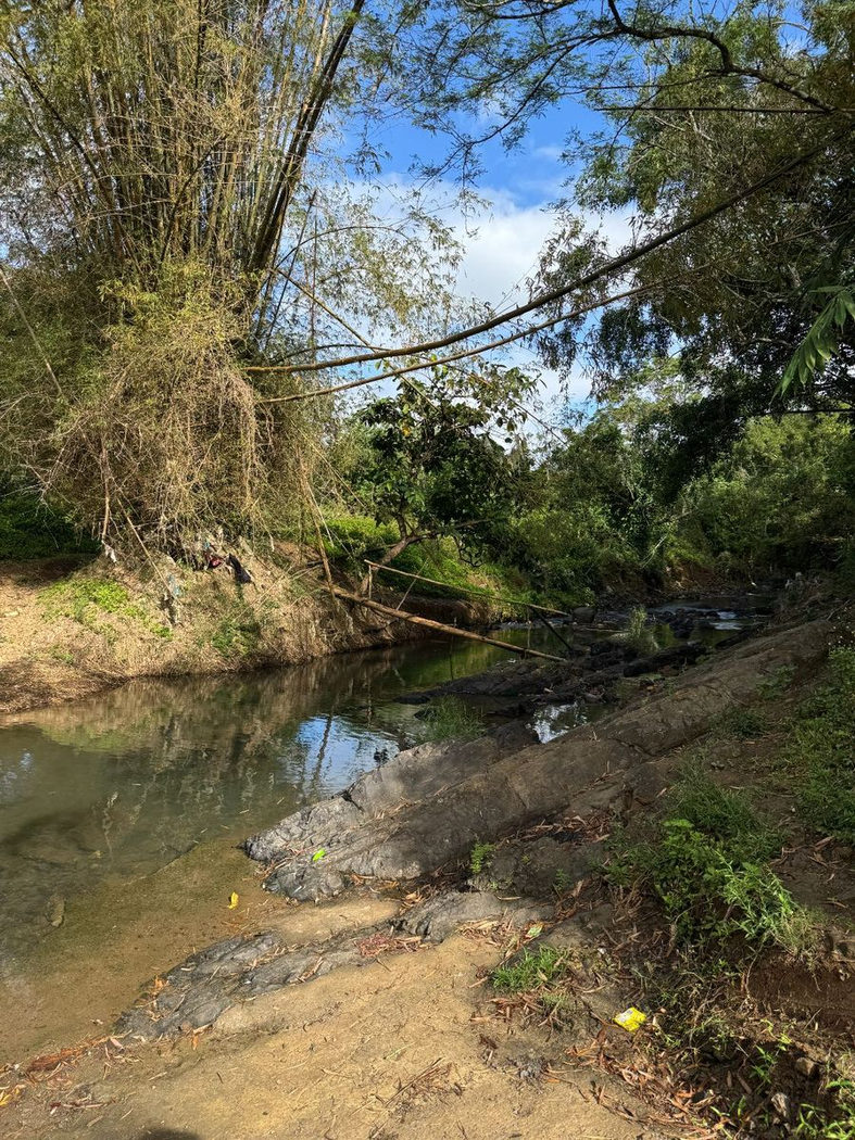 45.7-Hectare Titled Farmland with River for Sale in Sampaloc, Tanay, Rizal – photo 7