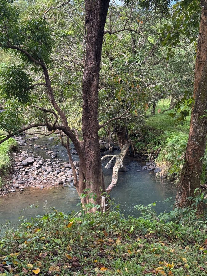 45.7-Hectare Titled Farmland with River for Sale in Sampaloc, Tanay, Rizal – photo 11