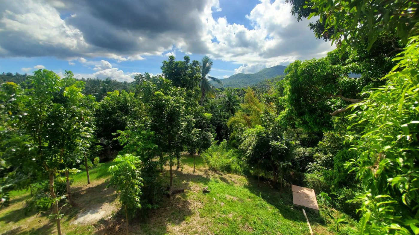 5-Bedroom Mansion on 6,000 SQM with Mt. Talamitan View for Sale in Medina, Magallanes, Cavite – photo 8