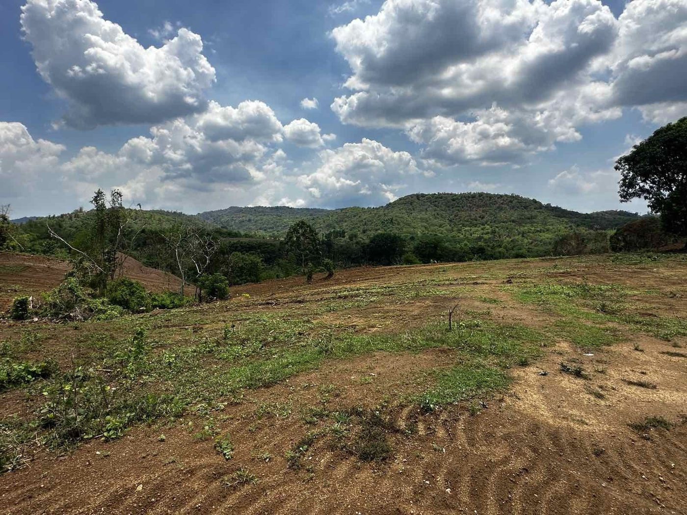500 SQM Farm-Residential Lot for Sale in Farmville 11, Talipusngo, Maragondon, Cavite – photo 5