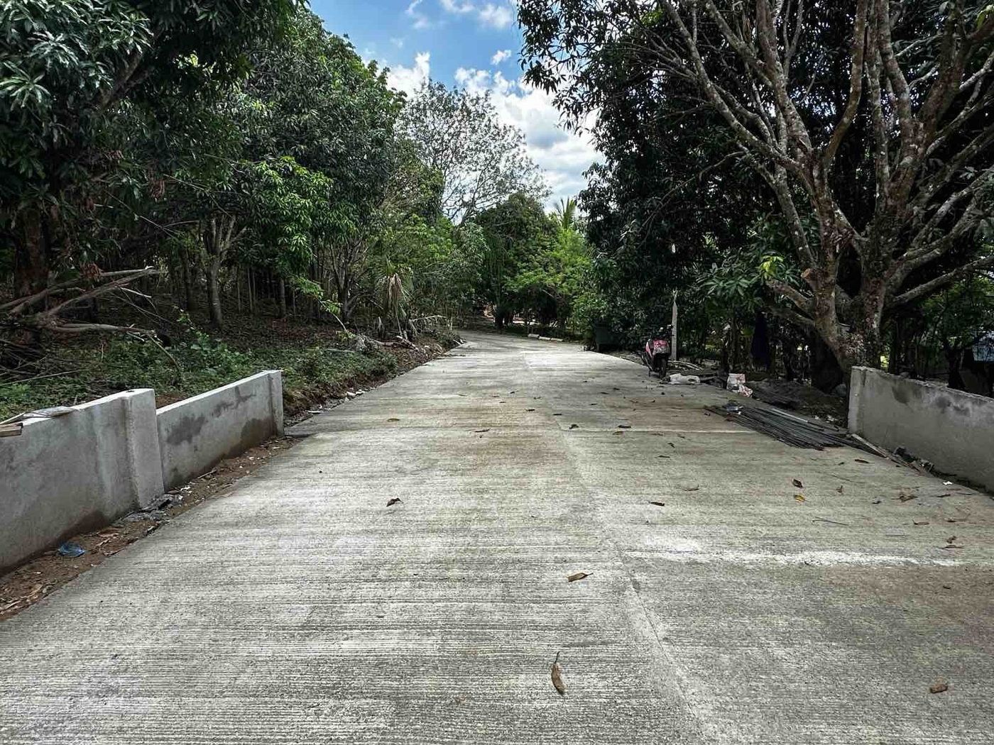 500 SQM Farm-Residential Lot for Sale in Farmville 11, Talipusngo, Maragondon, Cavite – photo 8