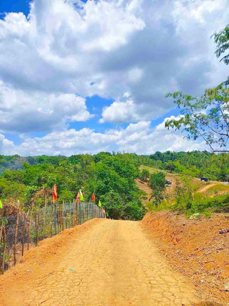 500 SQM Titled Farm Lot for Sale in Sampaloc, Tanay, Rizal – photo 7