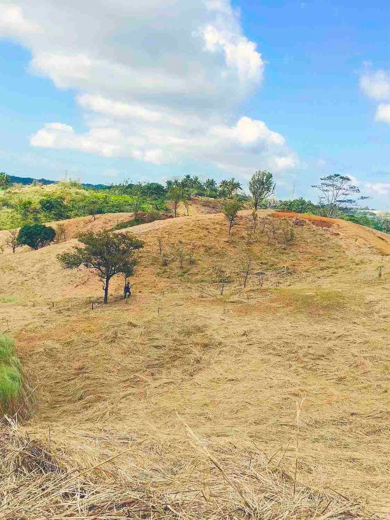500 SQM Titled Farm Lot for Sale in Sampaloc, Tanay, Rizal – photo 8