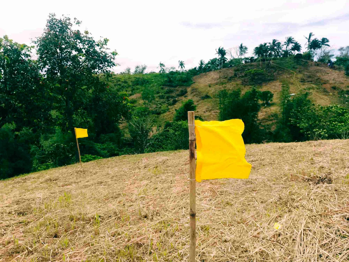 500 SQM Titled Farm Lot for Sale in Sampaloc, Tanay, Rizal – photo 14