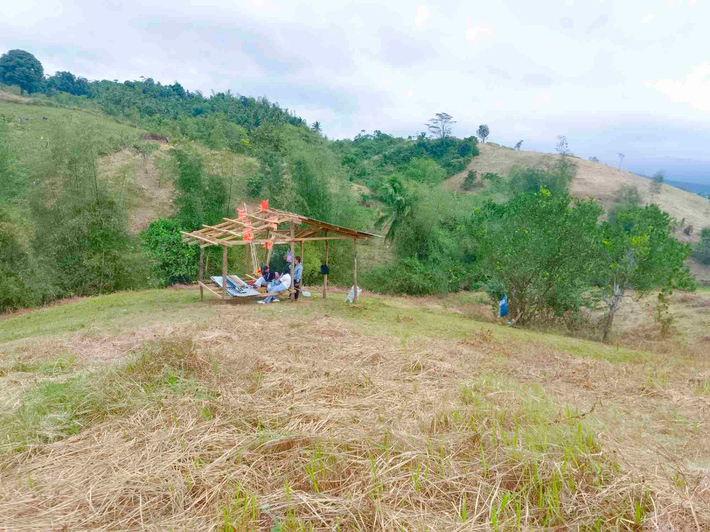 500 SQM Titled Farm Lot for Sale in Sampaloc, Tanay, Rizal – photo 15