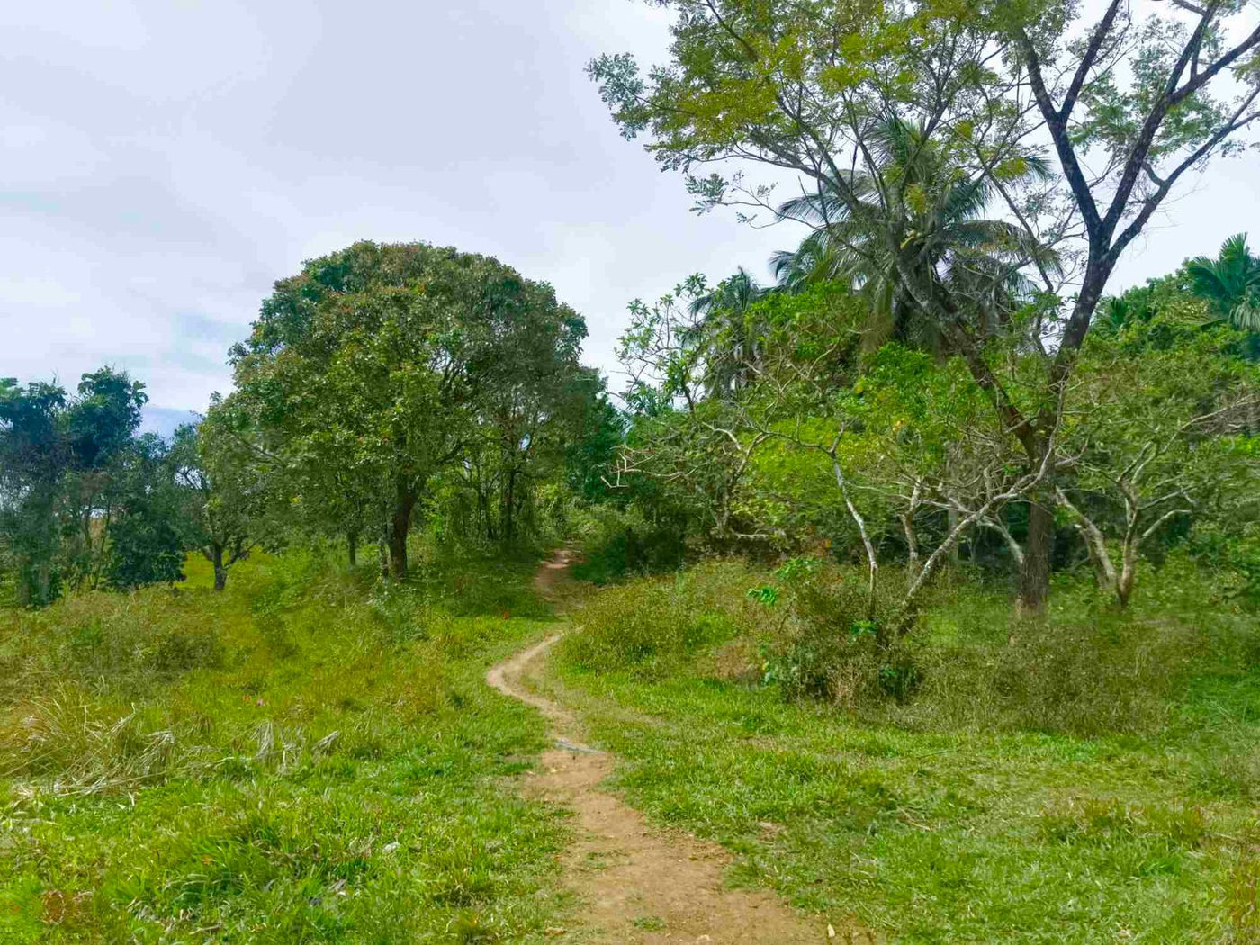 500 SQM Titled Farm Lot for Sale in Sampaloc, Tanay, Rizal – photo 16