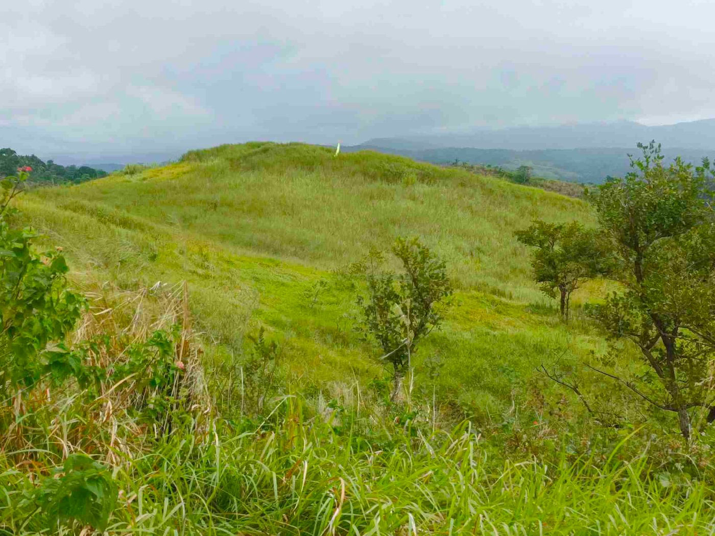 500 SQM Titled Farm Lot for Sale in Sampaloc, Tanay, Rizal – photo 17