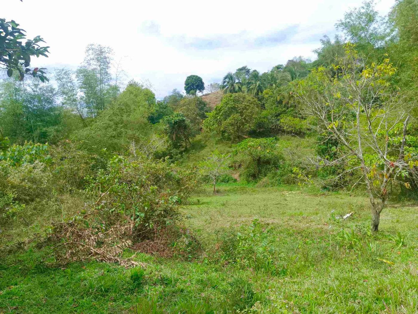 500 SQM Titled Farm Lot for Sale in Sampaloc, Tanay, Rizal – photo 19